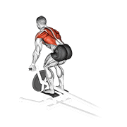 lever t-bar reverse grip row