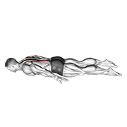 lower back curl