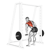 smith one arm row