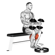 dumbbell seated calf raise