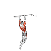 muscle-up (on vertical bar)