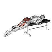 reverse hyper on flat bench