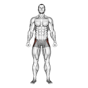 straight leg outer hip abductor