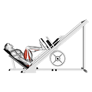 sled 45° leg press (side pov)