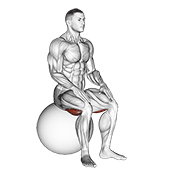 exercise ball seated hamstring stretch