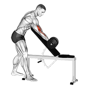 dumbbell standing one arm curl over incline bench