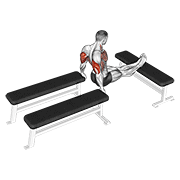 three bench dip