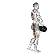 dumbbell single leg deadlift