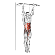 hanging leg hip raise