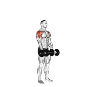 dumbbell standing around world