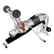 ez barbell decline triceps extension