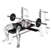 barbell reverse close-grip bench press