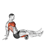roller seated shoulder flexor depresor retractor