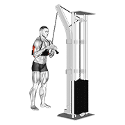 cable triceps pushdown (v-bar) (with arm blaster)