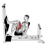 lever horizontal one leg press