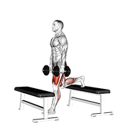 dumbbell step-up split squat
