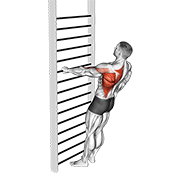 bodyweight standing one arm row