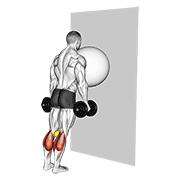 exercise ball on the wall calf raise (tennis ball between knees)