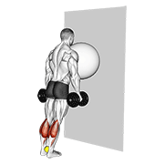 exercise ball on the wall calf raise (tennis ball between ankles)