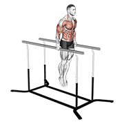 elbow dips