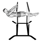 front lever
