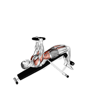 weighted decline sit-up